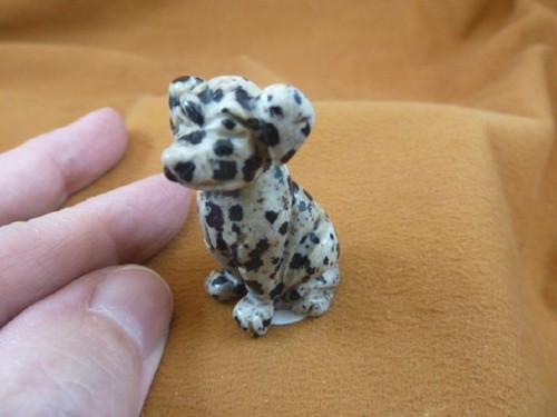 Dog 553 black - y-dog-la-553),